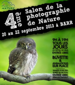 Rencontres imagesnature vaudioux